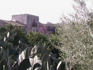 B&B La Casa Del Ficus Stazzo