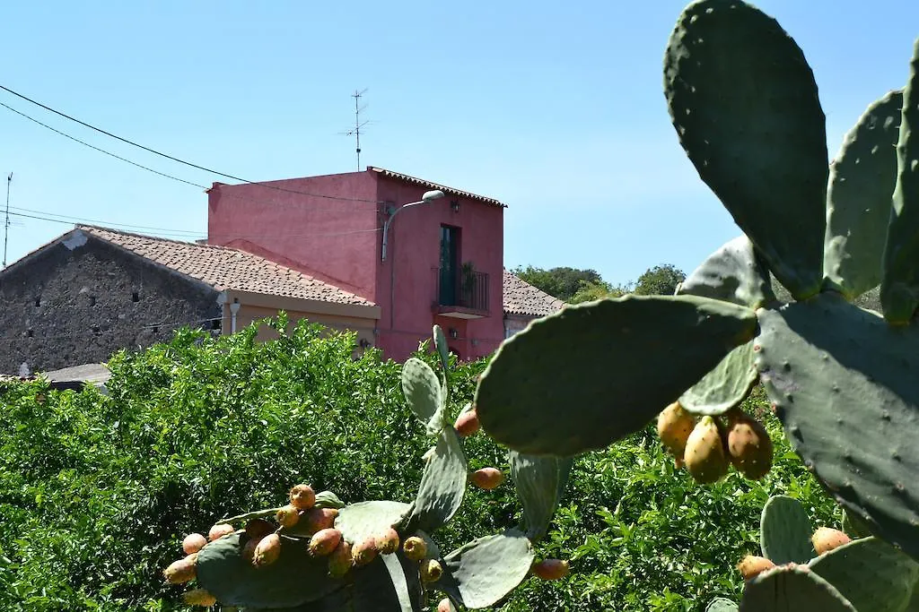 B&B La Casa Del Ficus Stazzo 2*,