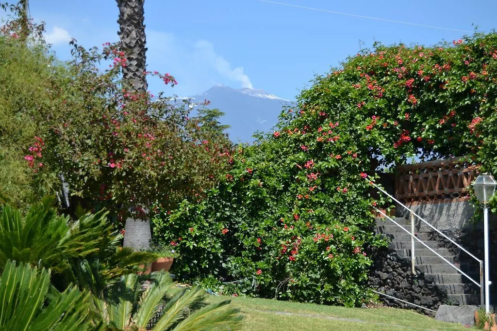 B&B La Casa Del Ficus Stazzo Bed & Breakfast